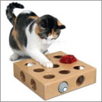 Peek-A-Prize Toy Box by SmartCat